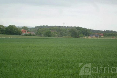Działka Sprzedaż Siadło Górne