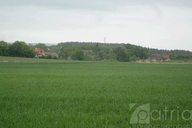 Działka Sprzedaż Siadło Górne 1
