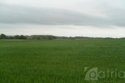 Działka Sprzedaż Siadło Górne