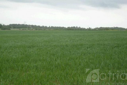 Działka Sprzedaż Siadło Górne