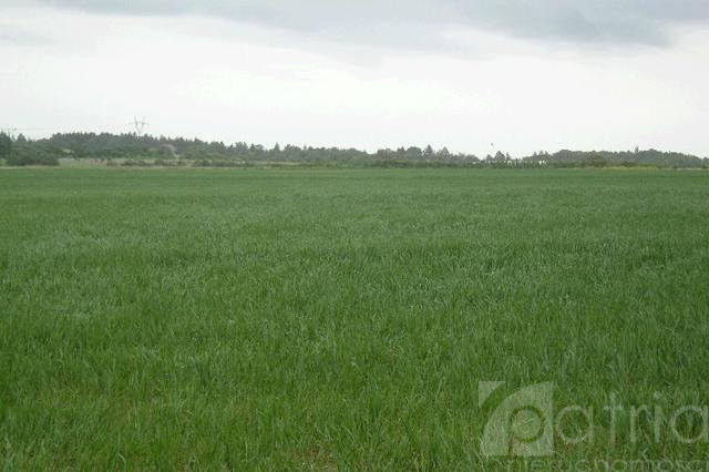 Działka Sprzedaż Siadło Górne 4