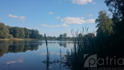 Działka Sprzedaż Radzanek