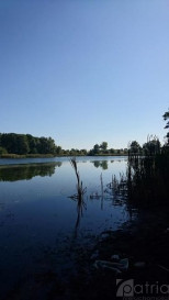 Działka Sprzedaż Radzanek