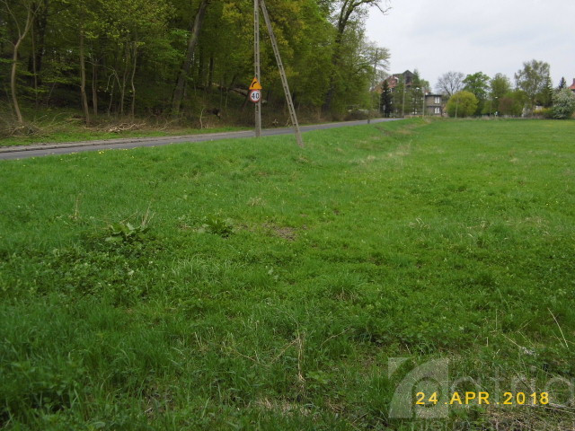 Działka Sprzedaż Szczecin Skolwin 1