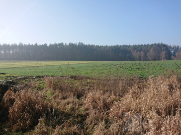 Obiekt Sprzedaż Raduń