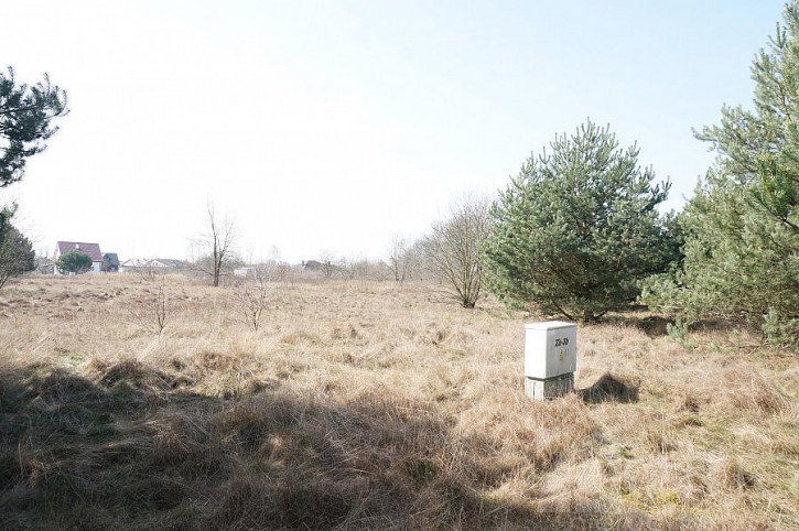 Działka Sprzedaż Rurzyca 1