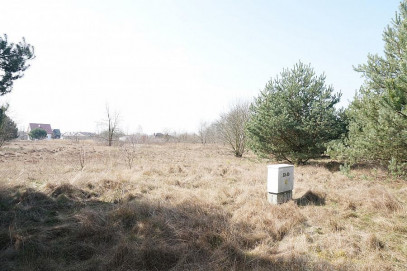 Działka Sprzedaż Rurzyca