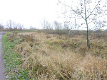 Działka Sprzedaż Dobra