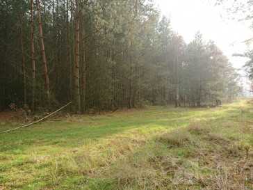 Działka Sprzedaż Starzyce