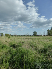 Działka Sprzedaż Czarna Łąka
