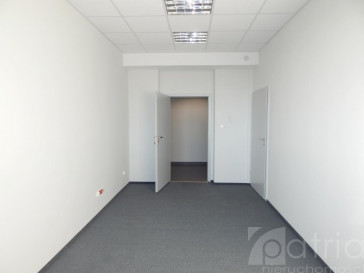 Lokal Wynajem Szczecin Śródmieście