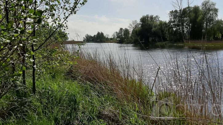 Działka Sprzedaż Mrzeżyno 1