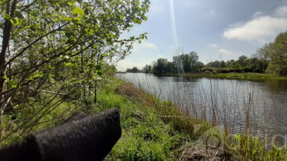 Działka Sprzedaż Mrzeżyno
