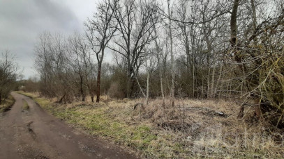 Działka Sprzedaż Karwowo