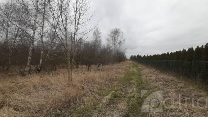 Działka Sprzedaż Karwowo