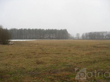 Działka Sprzedaż Stepnica