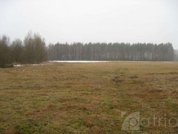Działka Sprzedaż Stepnica