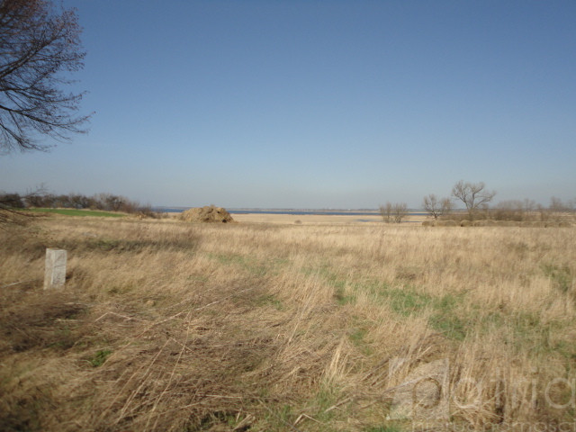 Działka Sprzedaż Turze 1