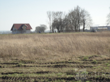 Działka Sprzedaż Turze