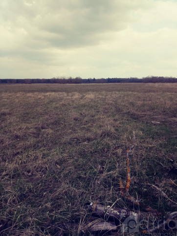 Działka Sprzedaż Łęgi 1