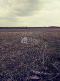 Działka Sprzedaż Łęgi