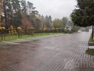 Obiekt Sprzedaż Pustkowo Sportowa