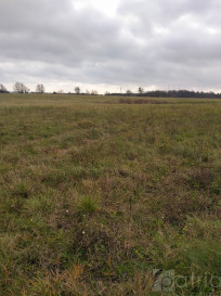 Działka Sprzedaż Szczecin Skolwin