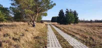Działka Sprzedaż Białuń
