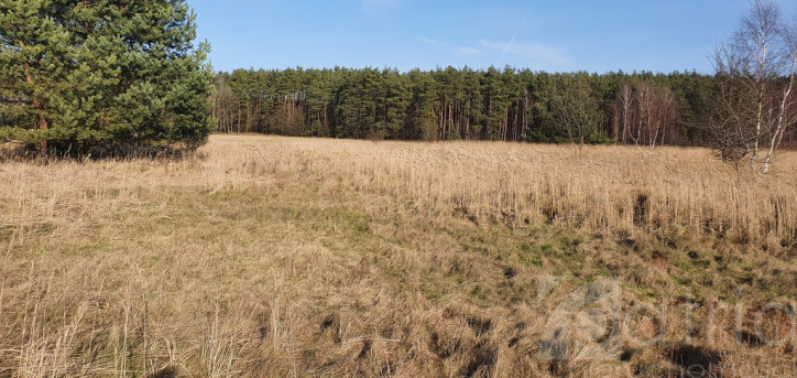 Działka Sprzedaż Białuń 1
