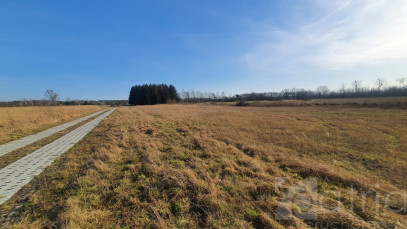 Działka Sprzedaż Białuń