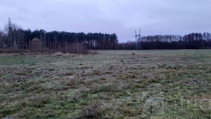 Działka Sprzedaż Stepnica 5