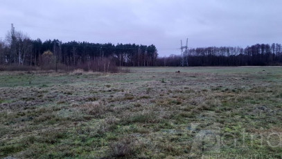 Działka Sprzedaż Stepnica