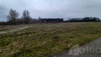 Działka Sprzedaż Stepnica