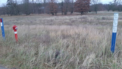 Działka Sprzedaż Stepnica