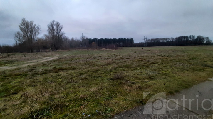 Działka Sprzedaż Stepnica 1