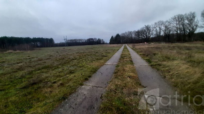 Działka Sprzedaż Stepnica