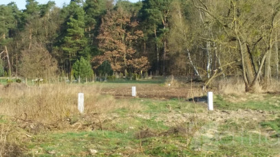 Działka Sprzedaż Kościno