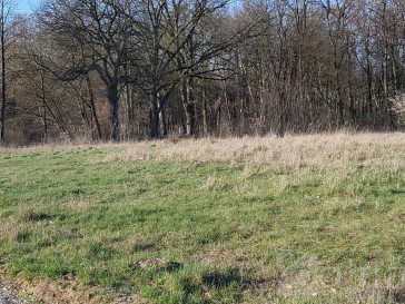 Działka Sprzedaż Kościno