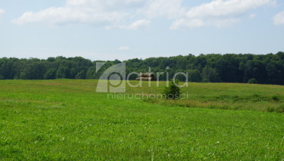 Działka Sprzedaż Bobolice