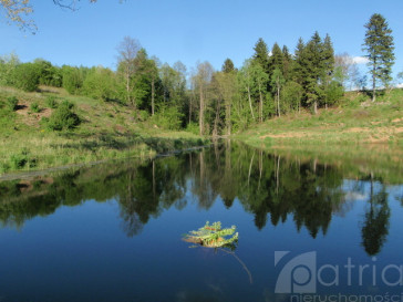 Działka Sprzedaż Bobolice