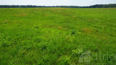 Działka Sprzedaż Bobolice
