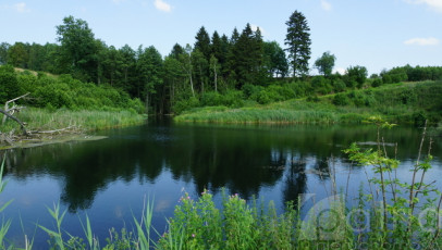 Działka Sprzedaż Bobolice