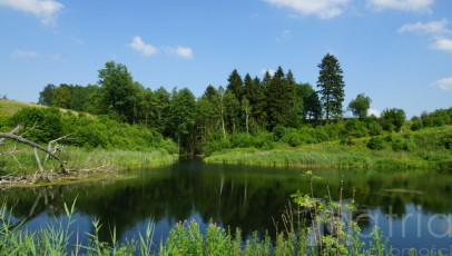Działka Sprzedaż Bobolice