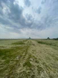 Działka Sprzedaż Wierzbno