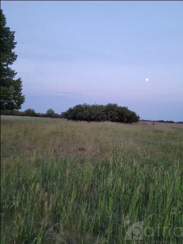 Działka Sprzedaż Lubczyna 1