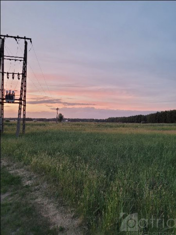 Działka Sprzedaż Lubczyna 1