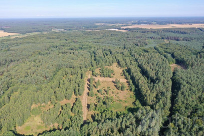 Działka Sprzedaż Krzywice