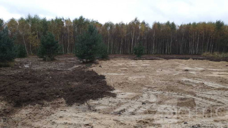 Działka Sprzedaż Borzyszewo 1