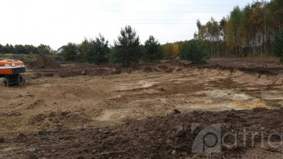 Działka Sprzedaż Borzyszewo