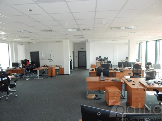 Lokal Wynajem Szczecin Centrum 1